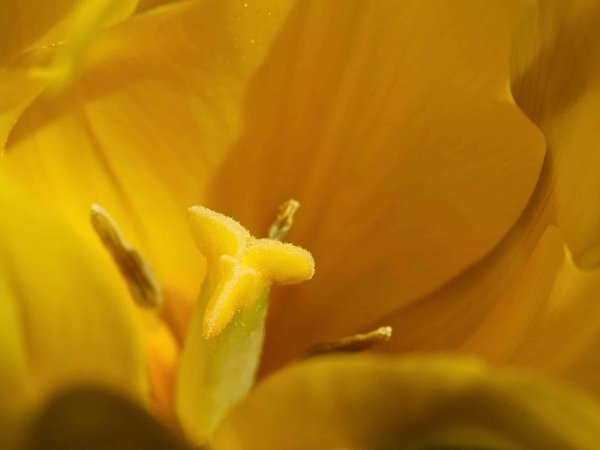 Comment vivre une expérience unique en colonie de vacances à Strasbourg ?